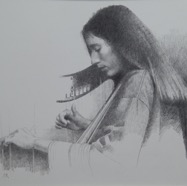 D135a.jpg