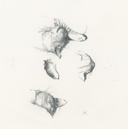 D068.jpg